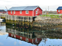 Lofoten -8