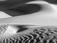 Monochrome -23