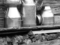 Monochrome -3