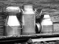 Monochrome -3