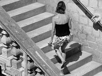 Monochrome -4