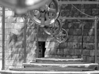 Monochrome -5