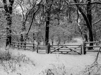 Monochrome -7