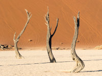 Namibia -9