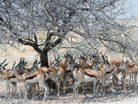 Namibia -13