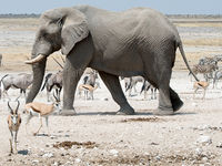 Namibia -14