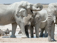 Namibia -15