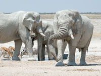 Namibia -16