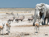 Namibia -17