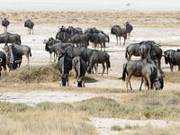 Namibia -18