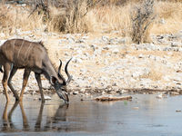 Namibia -19