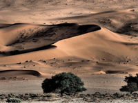 Namibia -1