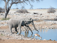 Namibia -1