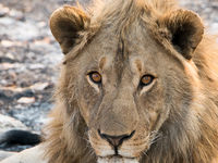 Namibia -21