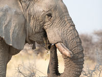 Namibia -23