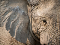 Namibia -24