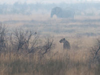 Namibia -25