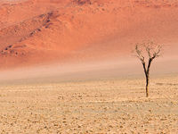 Namibia -2