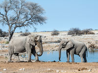 Namibia -2