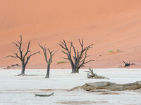 Namibia -3