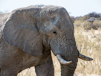 Namibia -3