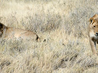 Namibia -4