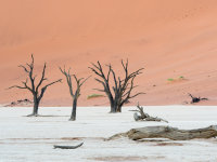 Namibia -3
