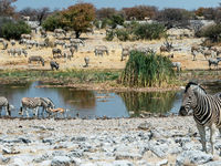 Namibia -5