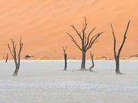 Namibia -5