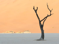 Namibia -4