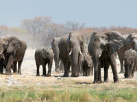 Namibia -6