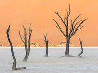 Namibia -6
