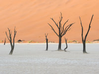 Namibia -5