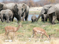 Namibia -7