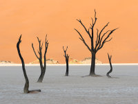 Namibia -6