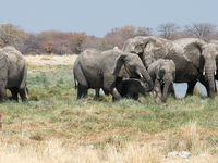 Namibia -8