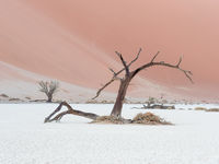 Namibia -8