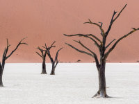 Namibia -7