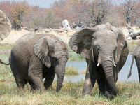 Namibia -9