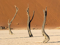 Namibia -9