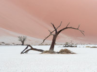 Namibia -8