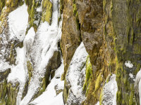 North Iceland -21