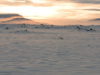 North Iceland -25