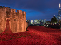 Remember the Tower