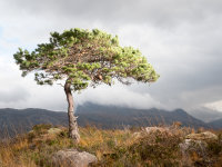 Scotland 2018 -10