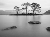 Scotland 2018 -9