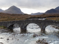 Skye -1