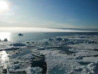 Spitsbergen -11