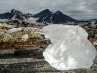 Spitsbergen -22