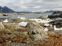 Spitsbergen -23
